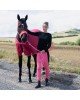 Women's Compression Silicone Full Seat Riding Tights Sunkissed Coral Pink