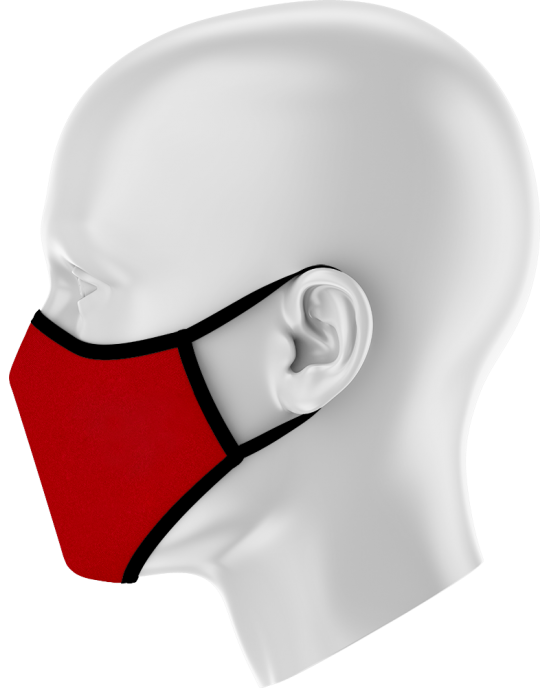 Face Mask 