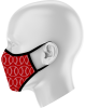 Face Mask 