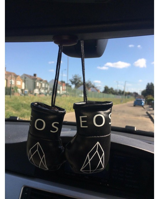 Mini Boxing Gloves Car Hanging 
