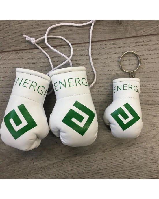 Mini Boxing Gloves Car Hanging 